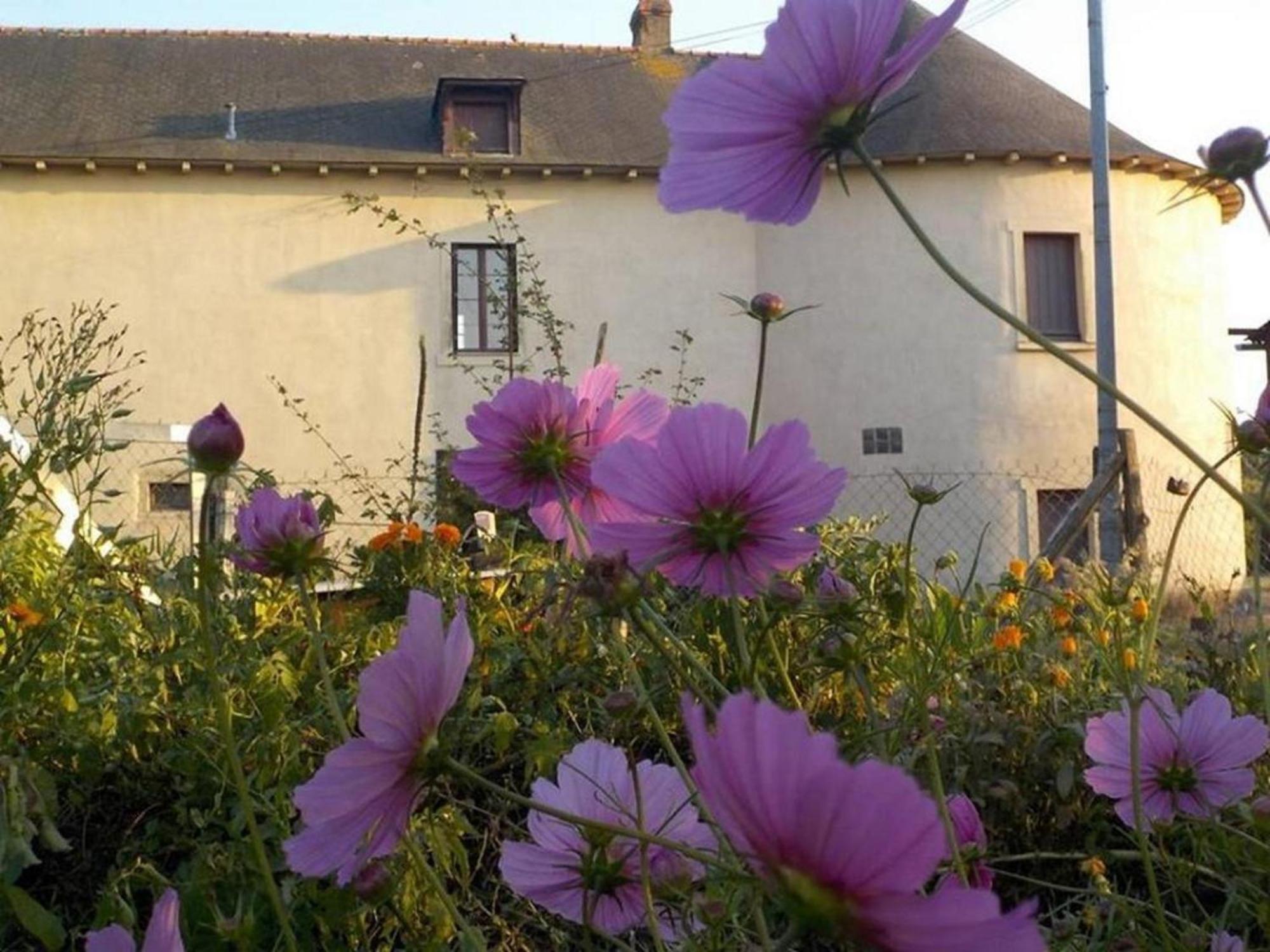 Manoir De La Guignardiere - Charme Et Douceur Chavagne 외부 사진